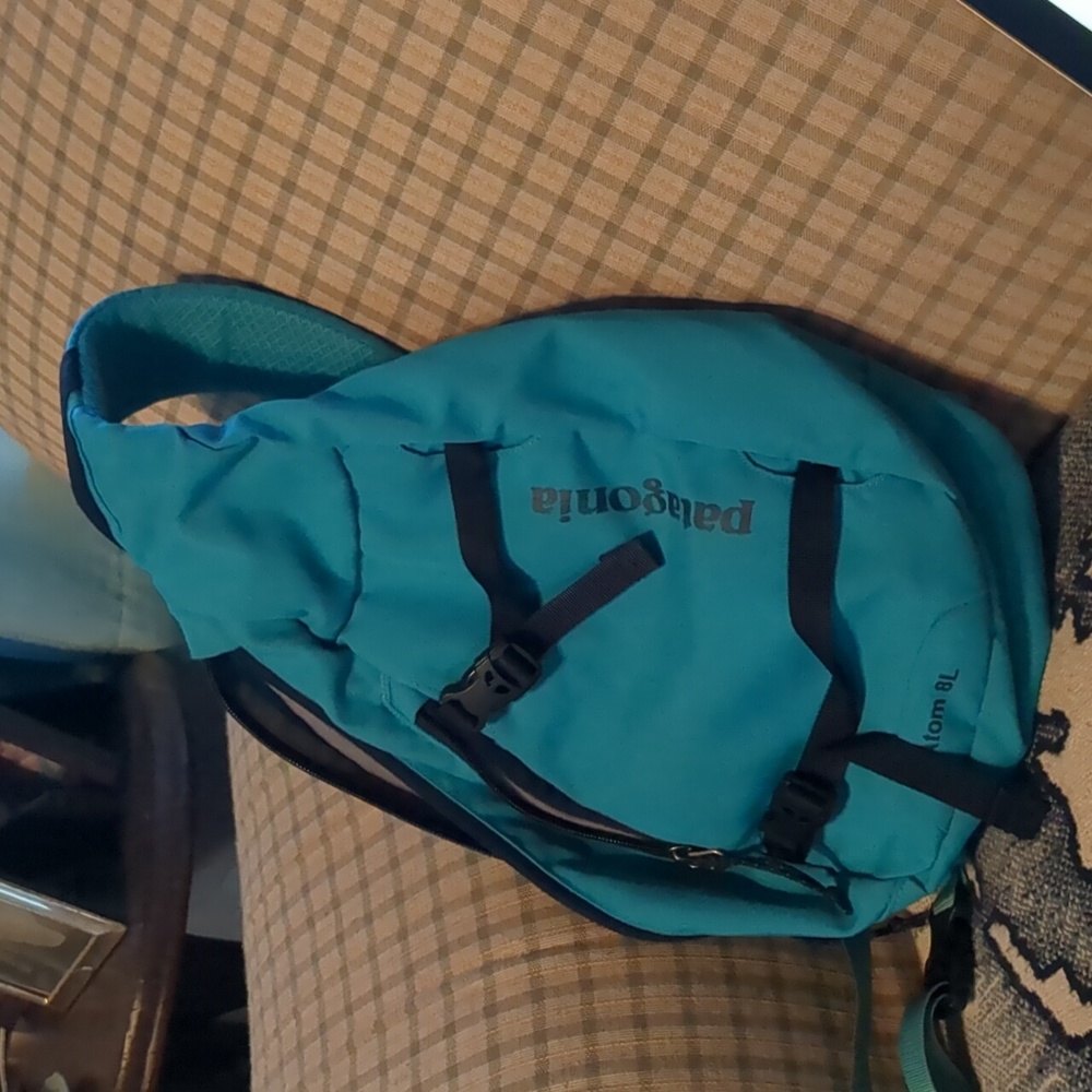 Patagonia Atom Sling 8L